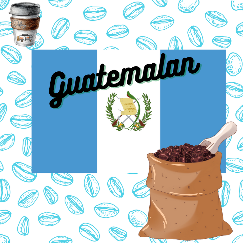 Guatemalan_960x960.png?v=