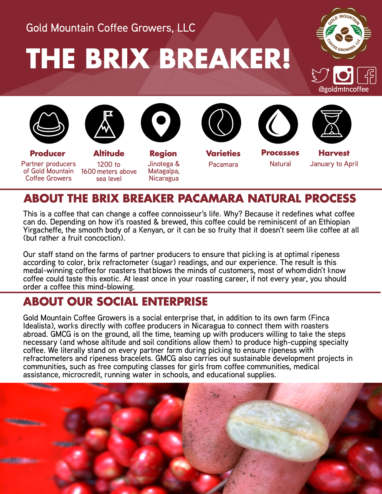 SPECIALTY1 - Nicaraguan "Brix Breaker"